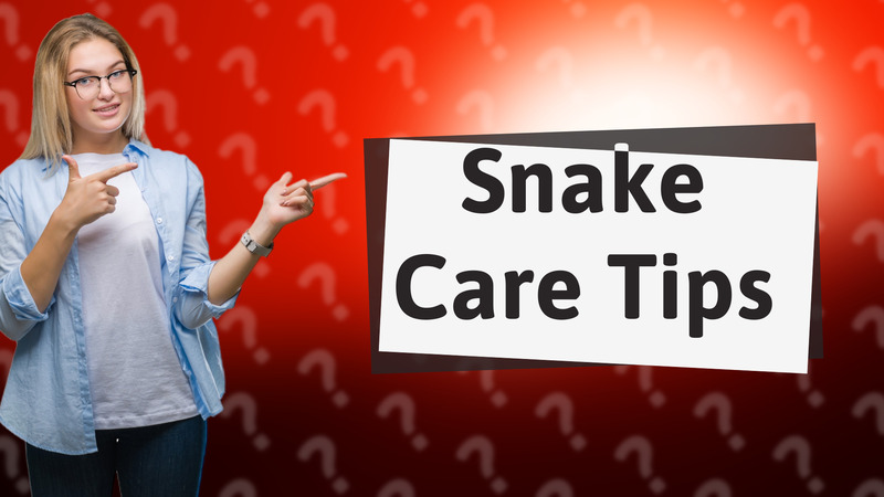Snake Care Tips