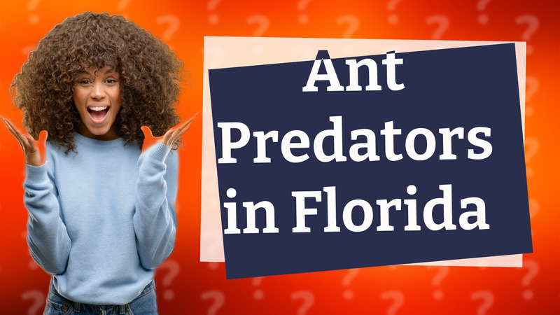 Ant Predators in Florida