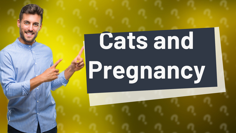 Cats and Pregnancy