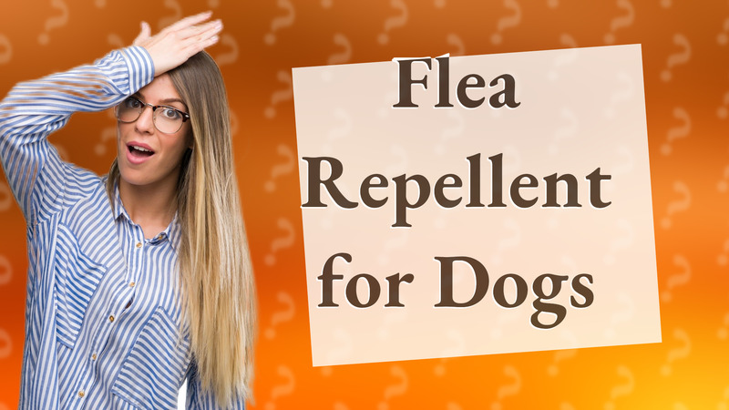 Flea Repellent for Dogs