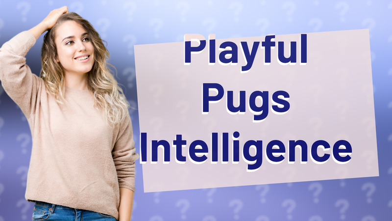 Playful Pugs Intelligence