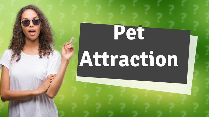 Pet Attraction