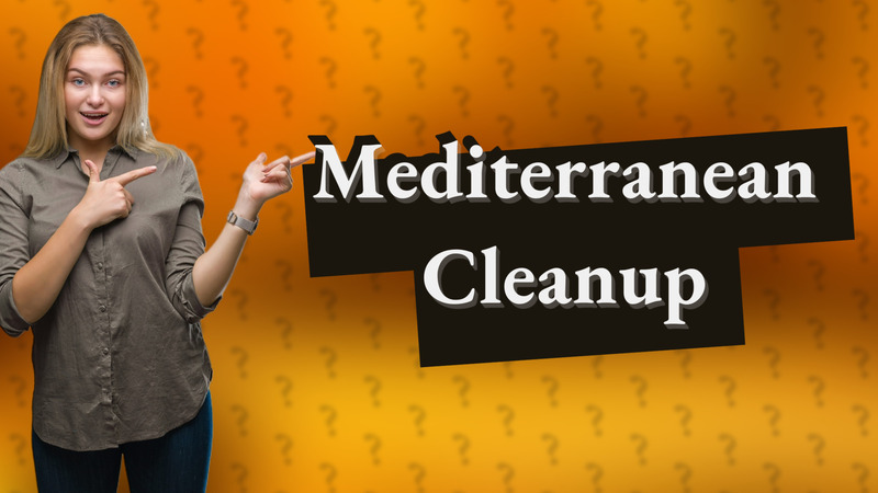 Mediterranean Cleanup