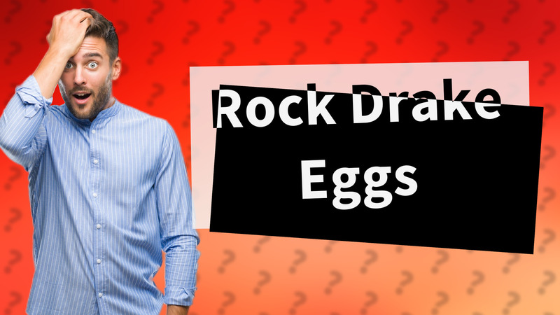 Rock Drake Eggs