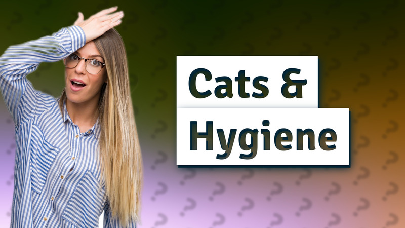 Cats & Hygiene