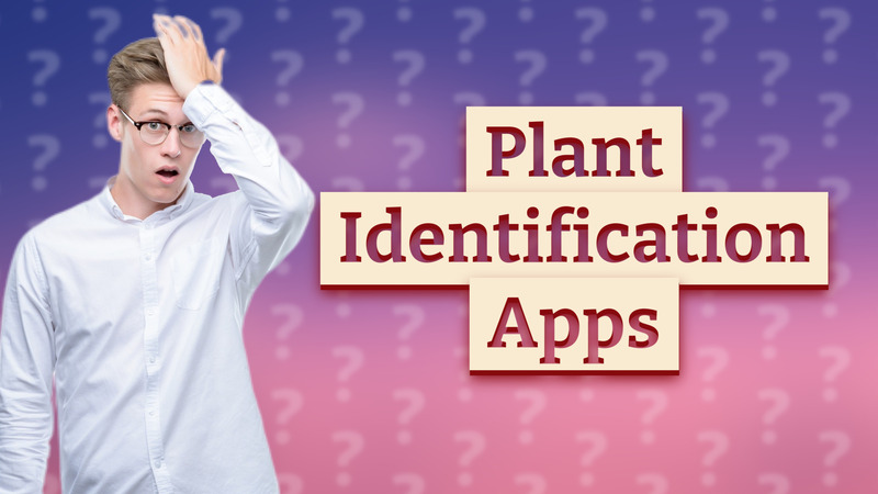 Plant Identification Apps