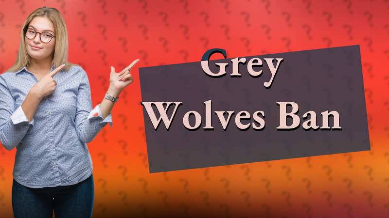 Grey Wolves Ban