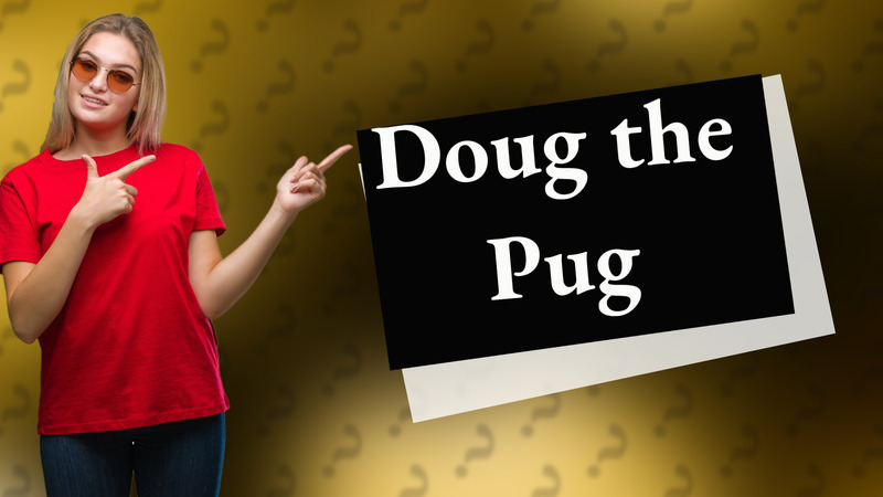 Doug the Pug
