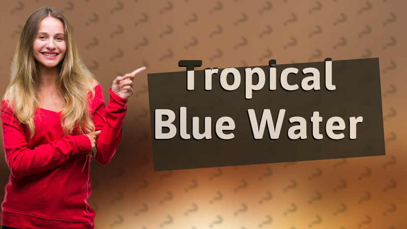 Tropical Blue Water