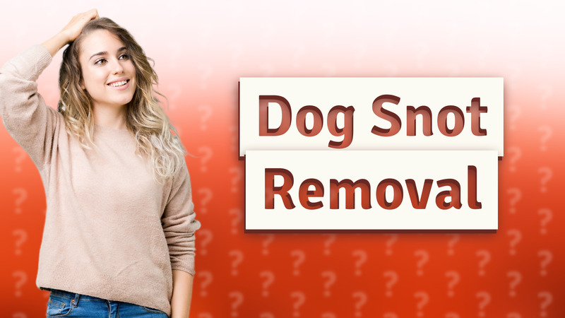 Dog Snot Removal