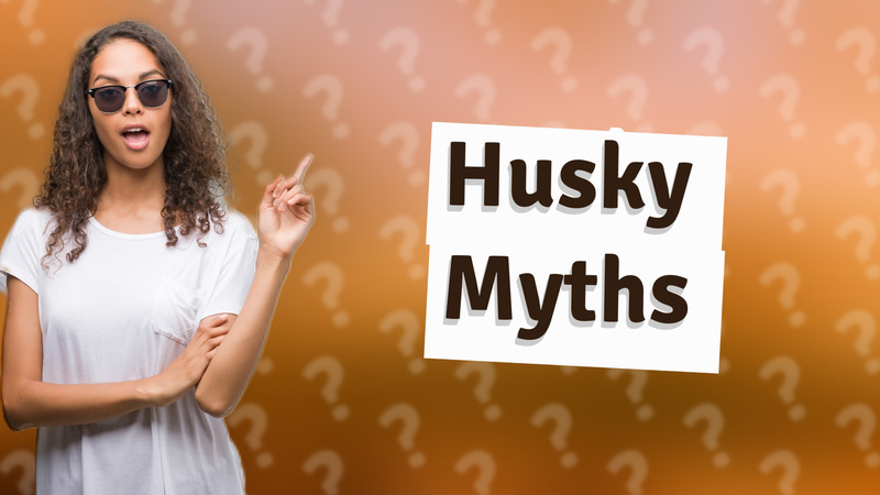 Husky Myths