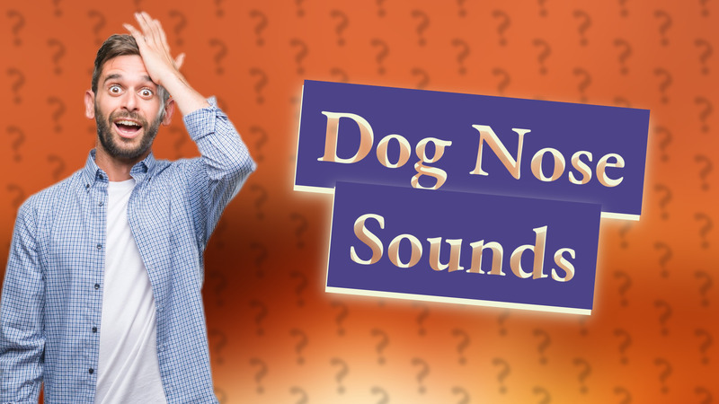 Dog Nose Sounds