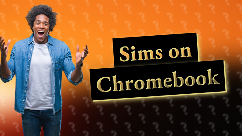 Sims on Chromebook