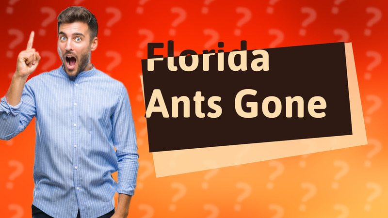Florida Ants Gone