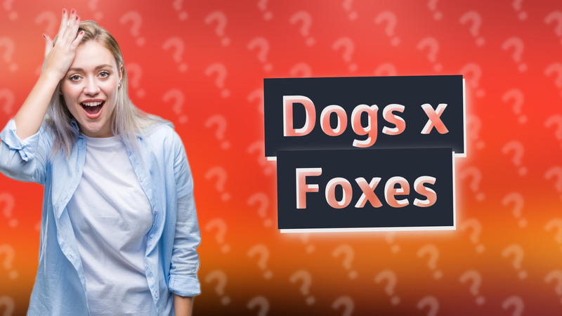 Dogs x Foxes