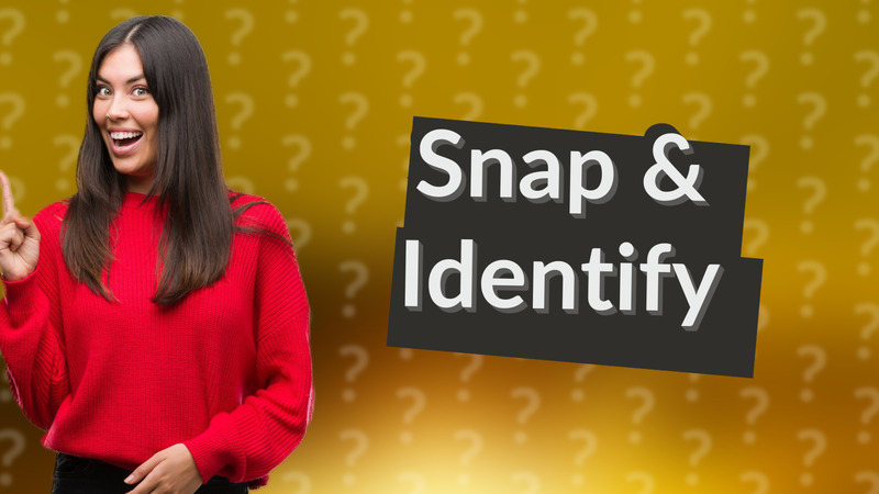 Snap & Identify