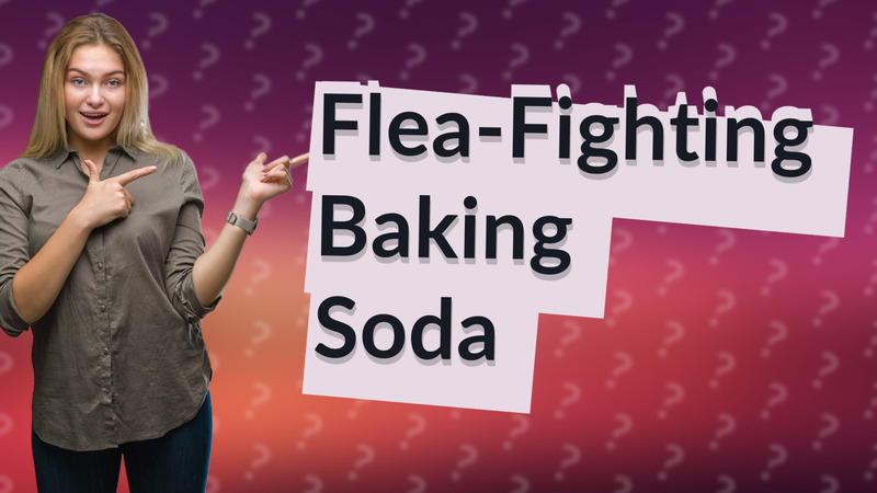 Flea-Fighting Baking Soda
