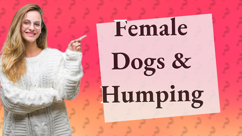 Female Dogs & Humping
