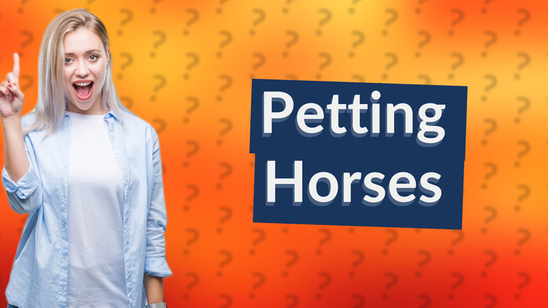 Petting Horses