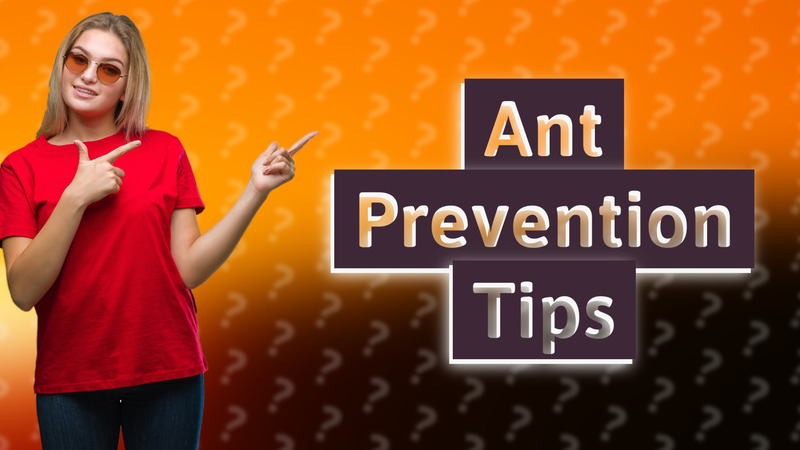Ant Prevention Tips
