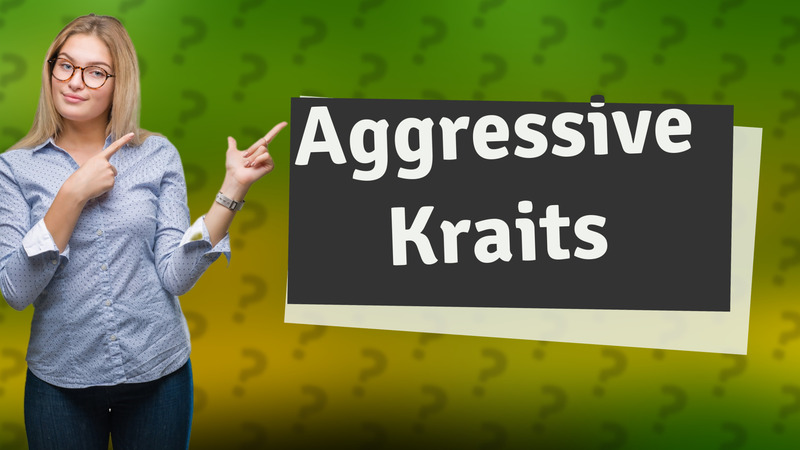 Aggressive Kraits
