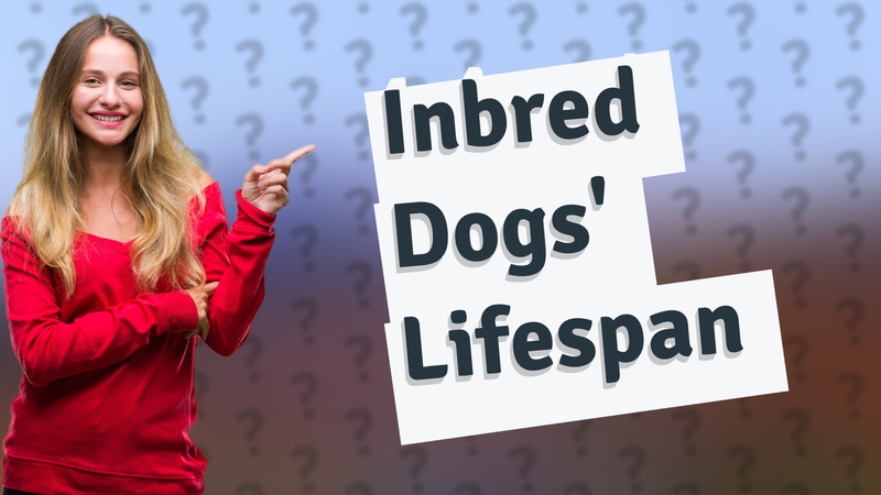 Inbred Dogs' Lifespan