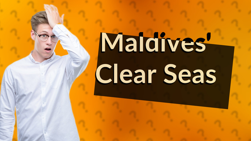 Maldives' Clear Seas
