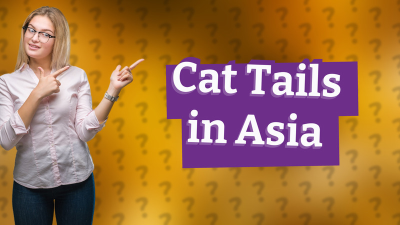 Cat Tails in Asia