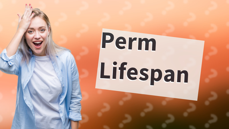 Perm Lifespan
