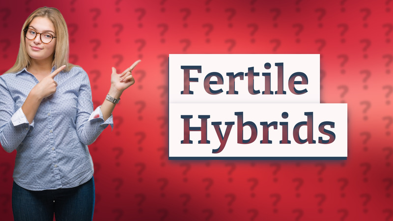 Fertile Hybrids