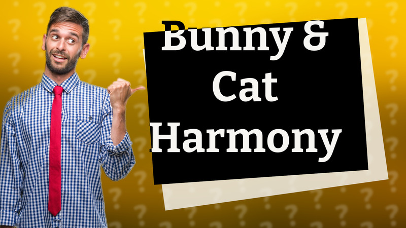 Bunny & Cat Harmony