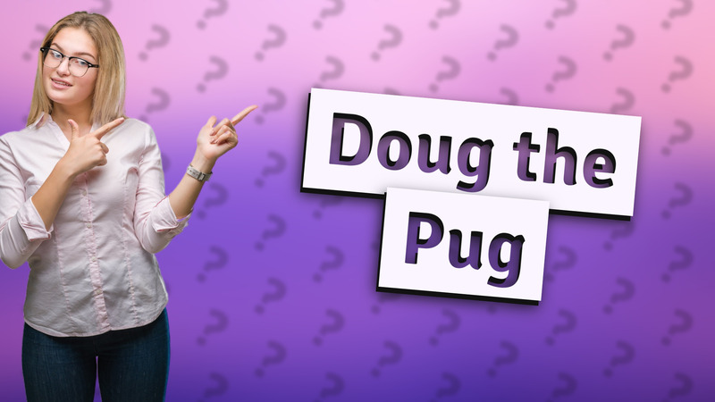 Doug the Pug
