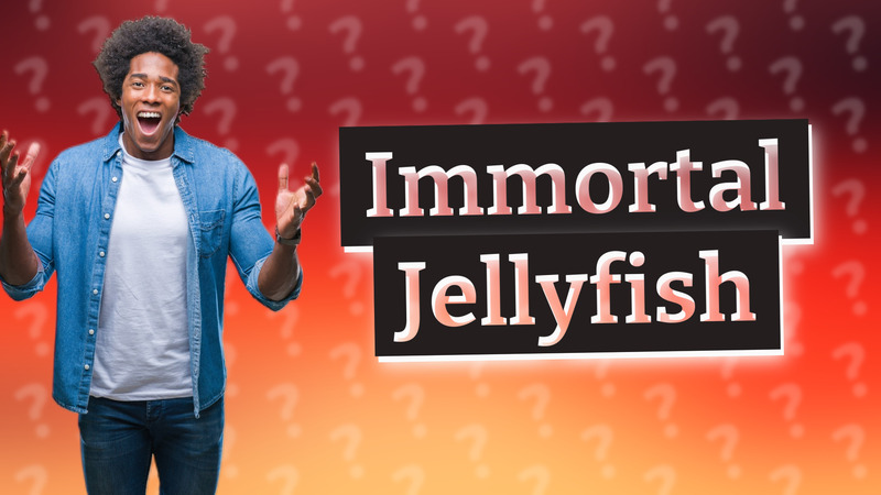 Immortal Jellyfish