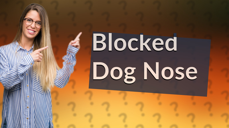 Blocked Dog Nose