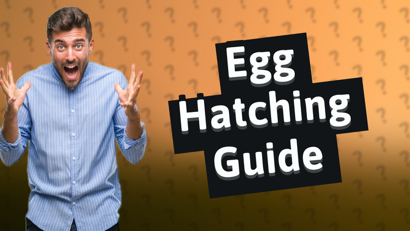 Egg Hatching Guide