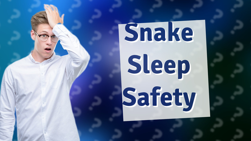 Snake Sleep Safety