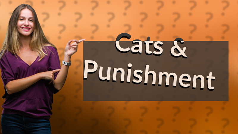 Cats & Punishment