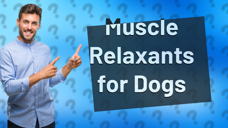 Muscle Relaxants for Dogs