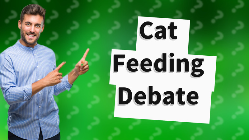 Cat Feeding Debate