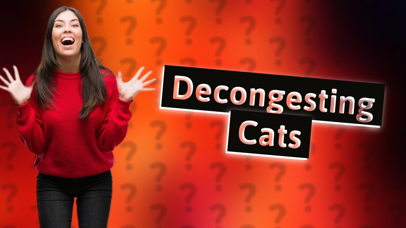Decongesting Cats