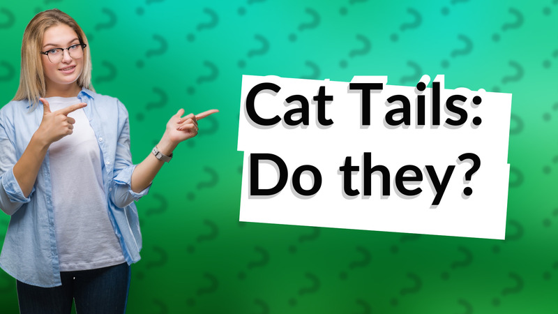 Cat Tails: Do they?