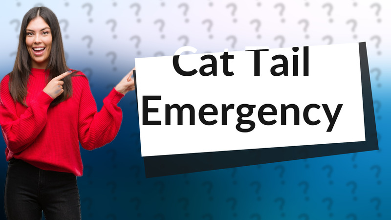 Cat Tail Emergency