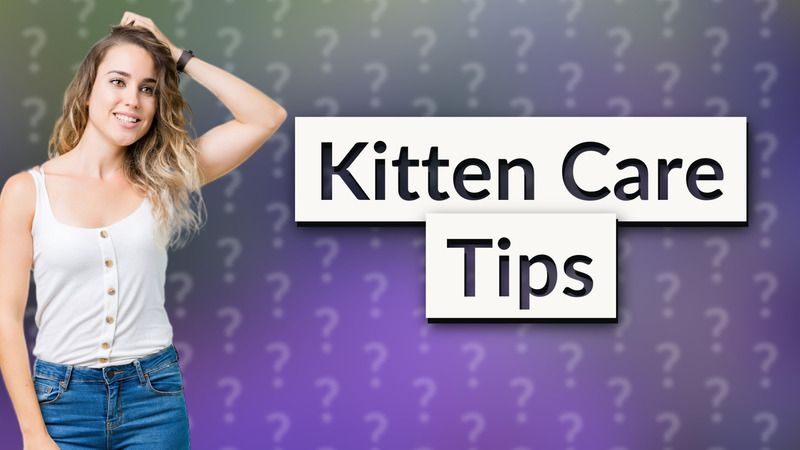 Kitten Care Tips