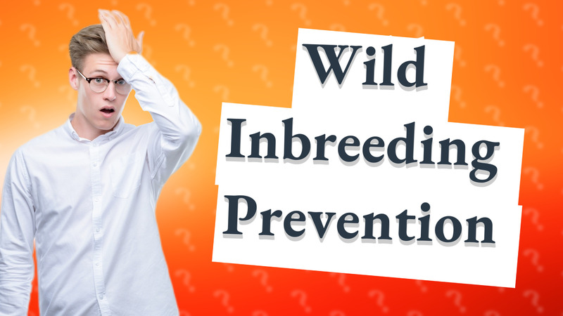 Wild Inbreeding Prevention