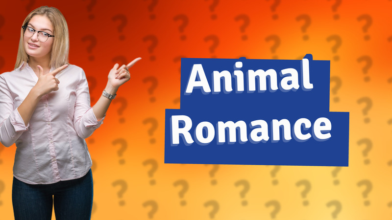 Animal Romance