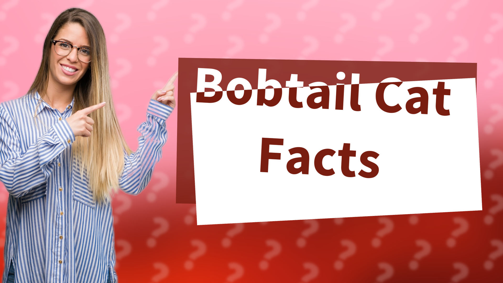Bobtail Cat Facts