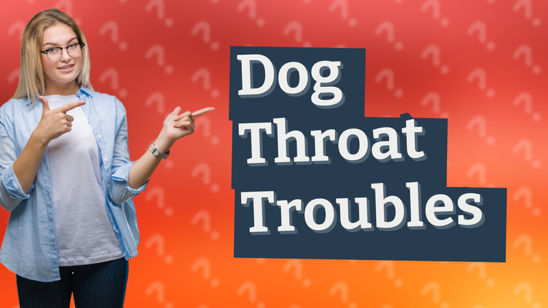 Dog Throat Troubles