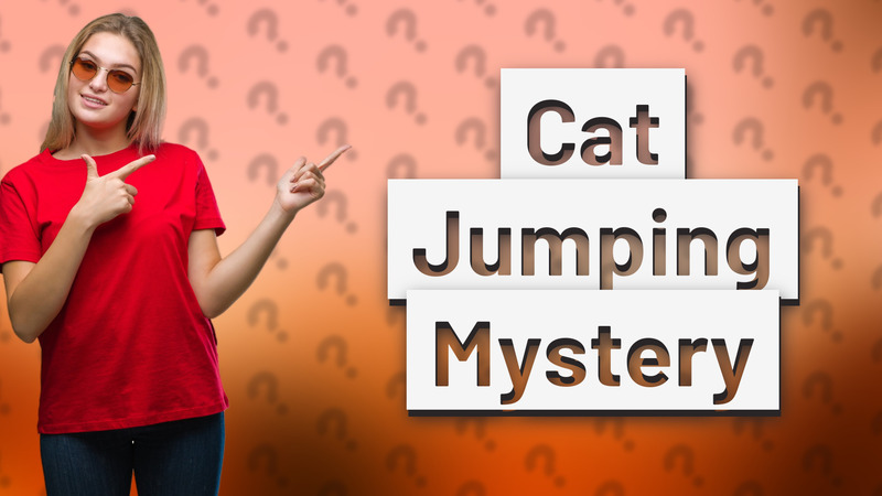 Cat Jumping Mystery