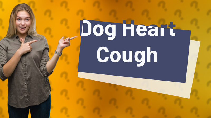 Dog Heart Cough