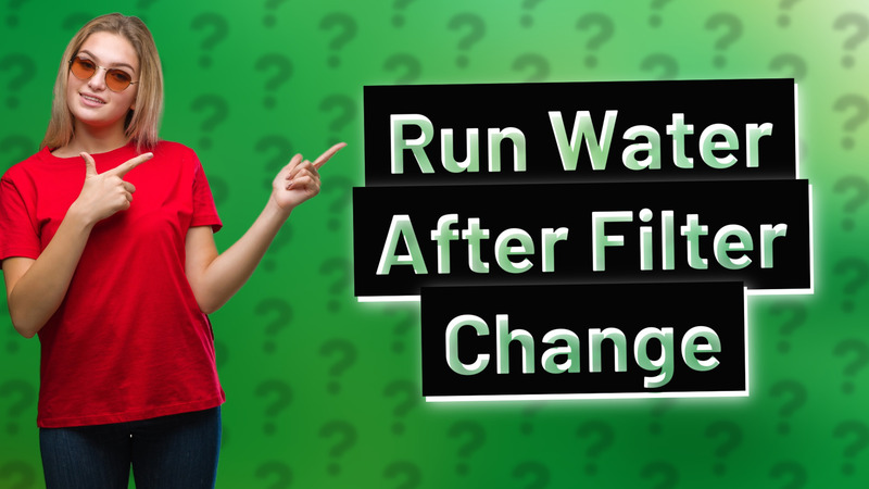 Run Water After Filter Change
